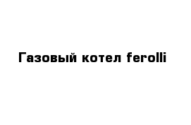 Газовый котел ferolli